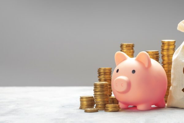 Piggy Bank with Gold Coins and Money Bag | WinWay Homes