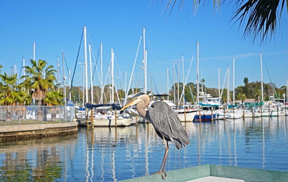 New Homes Gulfport, FL